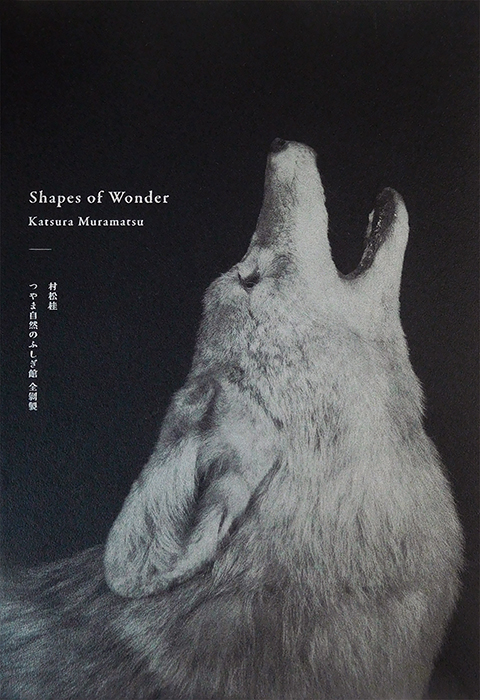 Shapes of Wonder